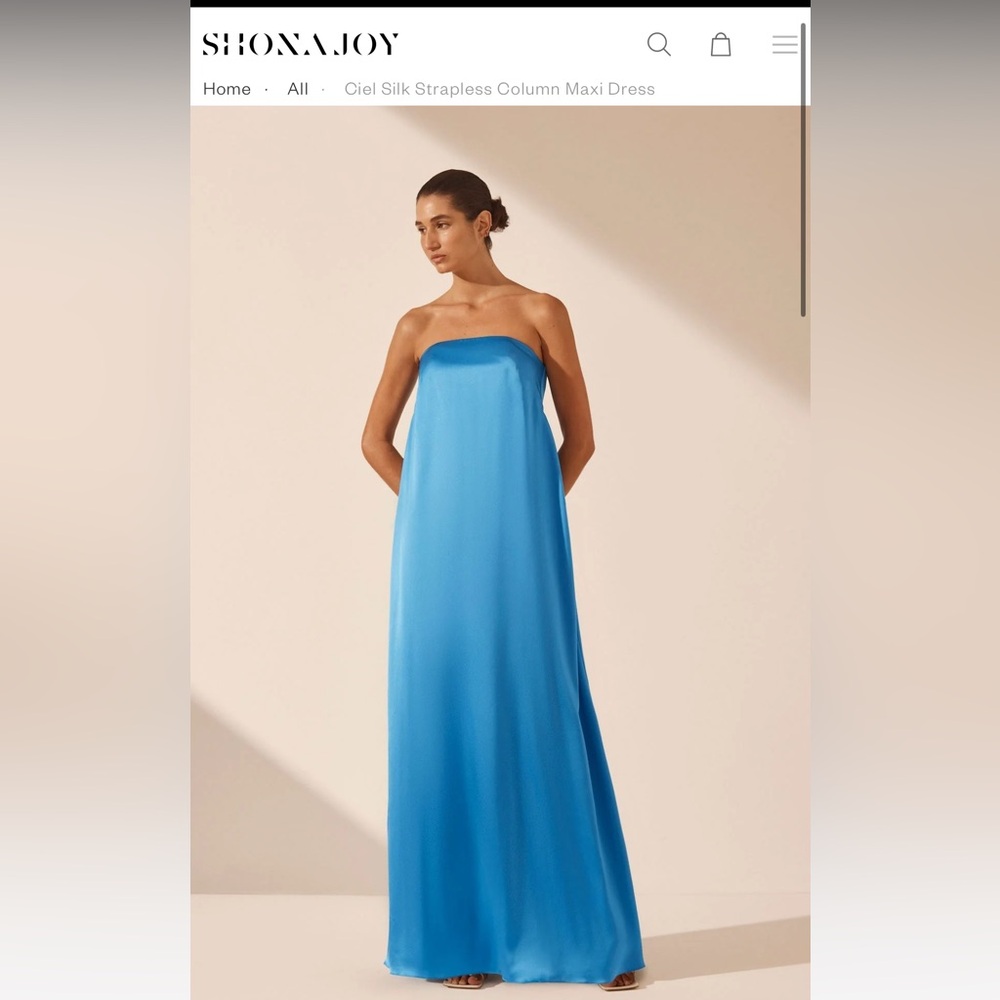 Shona Joy Ciel Silk Strapless Column Maxi Dress